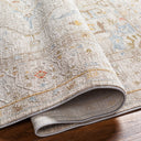 Avant Garde AVT-2362 Amber / Dark Brown Rug