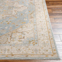 Avant Garde AVT-2365 Amber / Dark Brown Rug