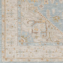 Avant Garde AVT-2365 Amber / Dark Brown Rug