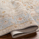 Avant Garde AVT-2367 Amber / Dark Brown Rug