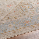 Avant Garde AVT-2367 Amber / Dark Brown Rug