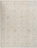 Avant Garde AVT-2368 Amber / Dark Brown Rug