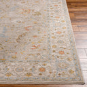 Avant Garde AVT-2373 Amber / Dark Brown Rug