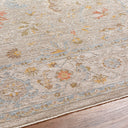 Avant Garde AVT-2373 Amber / Dark Brown Rug