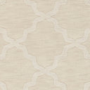 Central Park AWHP-4021 Beige Rug