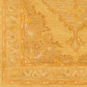 Middleton AWHR-2059 Brown / Mustard Rug