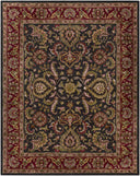 Middleton AWHY-2061 Amber / Dark Brown Rug