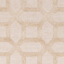Arise AWRS-2130 Light Beige / Tan Rug