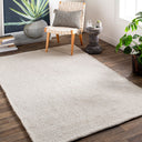 Azalea AZA-2325 Ivory / Light Beige Rug