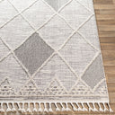 Azilal AZI-2304 Black / Gray Rug