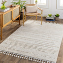Azilal AZI-2315 Ivory Rug