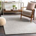 Bari BAR-2304 Gray Rug