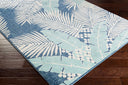 Bodrum BDM-2324 Aqua / Beige Rug