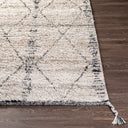 Birch BHC-2302 Black / Charcoal Rug