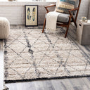 Birch BHC-2302 Black / Charcoal Rug