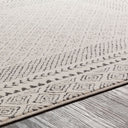 Bahar BHR-2321 Charcoal / Light Beige Rug