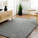 Berkeley BKY-2301 Charcoal Rug