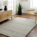 Berkeley BKY-2302 Black / Charcoal Rug