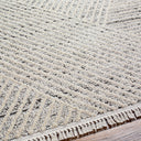 Berlin BLR-2302 Dark Brown / Ivory Rug