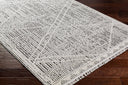 Berlin BLR-2306 Dark Brown / Ivory Rug