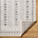 Berlin BLR-2313 Black / Ivory Rug