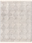 Berlin BLR-2315 Black / Ivory Rug