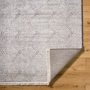 Berlin BLR-2315 Black / Ivory Rug