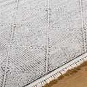 Berlin BLR-2315 Black / Ivory Rug