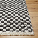 Birmingham BMM-2319 Black / Ivory Rug