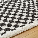 Birmingham BMM-2319 Black / Ivory Rug