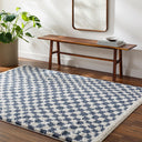 Birmingham BMM-2320 Blue / Ivory Rug