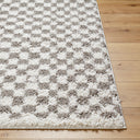 Birmingham BMM-2321 Gray / Ivory Rug