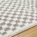 Birmingham BMM-2321 Gray / Ivory Rug