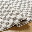 Birmingham BMM-2321 Gray / Ivory Rug