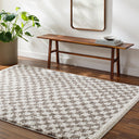 Birmingham BMM-2321 Gray / Ivory Rug