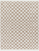 Birmingham BMM-2322 Ivory / Tan Rug