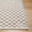 Birmingham BMM-2322 Ivory / Tan Rug