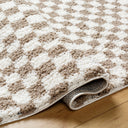 Birmingham BMM-2322 Ivory / Tan Rug