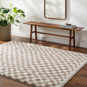 Birmingham BMM-2322 Ivory / Tan Rug