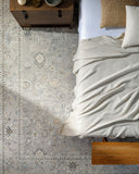 Davina BOCC-2300 Brown / Denim Rug