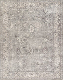 Davina BOCC-2301 Charcoal / Light Gray Rug