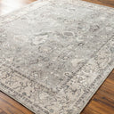 Davina BOCC-2301 Charcoal / Light Gray Rug