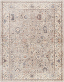 Davina BOCC-2302 Brown / Denim Rug