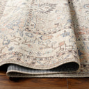 Davina BOCC-2302 Brown / Denim Rug