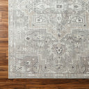Elle BOEC-2301 Charcoal / Dusty Sage Rug