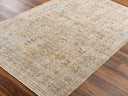 Ren BOMG-2309 Blue / Brown Rug