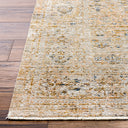 Ren BOMG-2309 Blue / Brown Rug