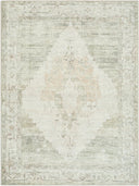 Luca BONC-2302 Ivory / Light Brown Rug