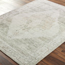 Luca BONC-2302 Ivory / Light Brown Rug