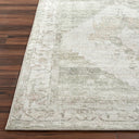 Luca BONC-2302 Ivory / Light Brown Rug